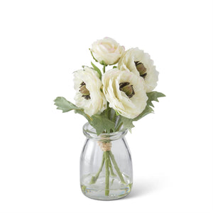 Ranunculus in Vase