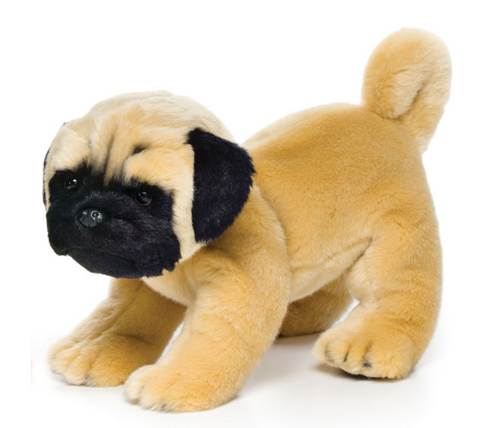 Large Pug