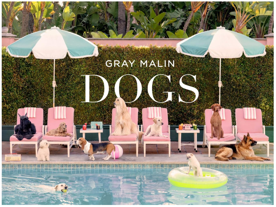 Dogs by Gray Malin