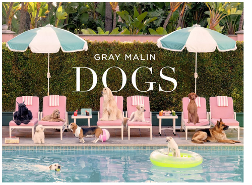 Gray Malin:  Dogs