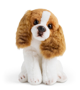 Cavalier King Charles Beanbag