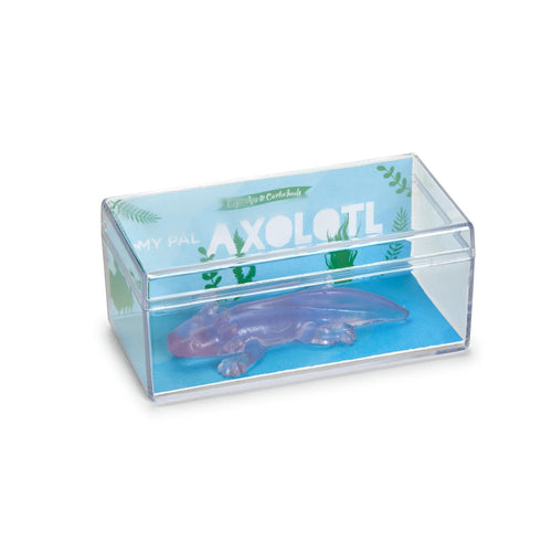 Axolotl