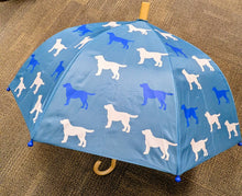 Color-Changing Umbrella