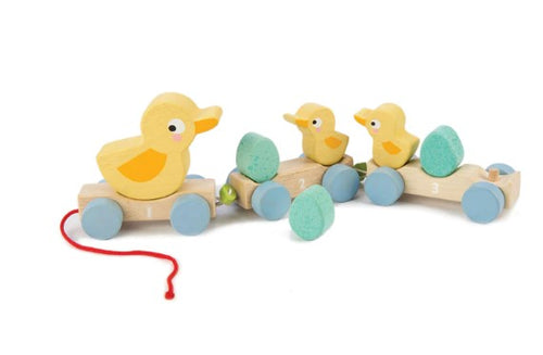 Pull Along Ducks